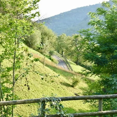 La Petite Russie Nyaraló